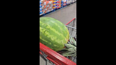 #costco #groceryshopping #rotisseriechicken #pineapple #watermelon #shoppingcart