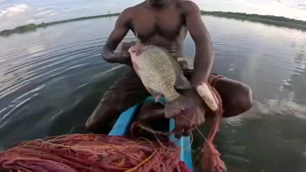 Amazing Fishing