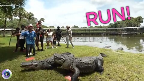 Funny Mike Family get CHASED BY ALLIGATORS 🐊🐊and he left EVERYONE 🤣😭😂