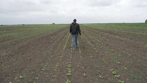 UK farmers praying for rain amid driest spring since 1852