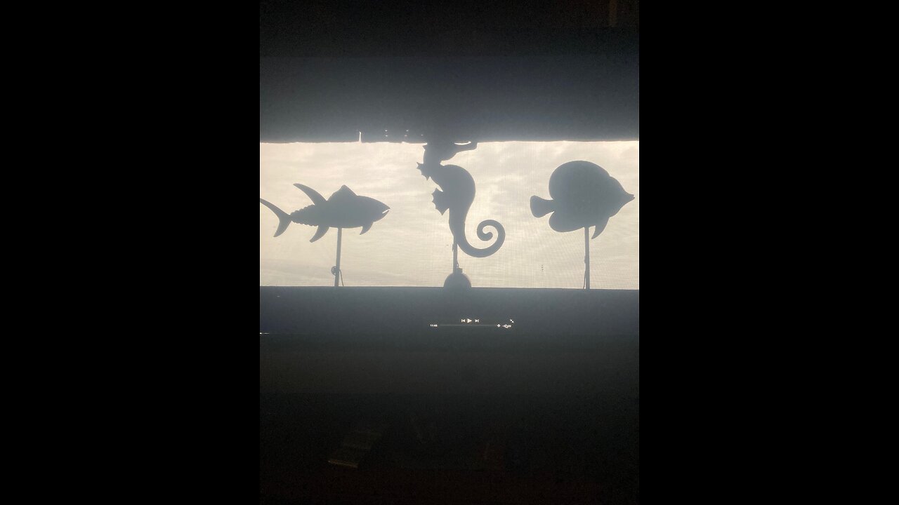 Screen Porch Fish Under The Sea Motif. Finishing Up Maybe. Part 11