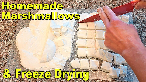 Making and Freeze Drying Strawberry Marshmallows