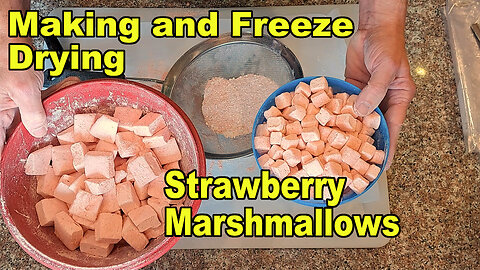 Making and Freeze Drying Strawberry Marshmallows