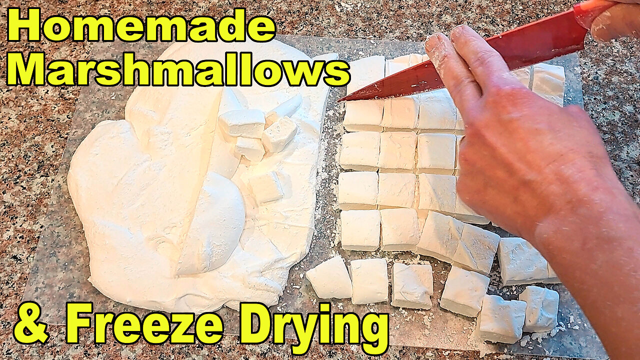 Making and Freeze Drying Strawberry Marshmallows