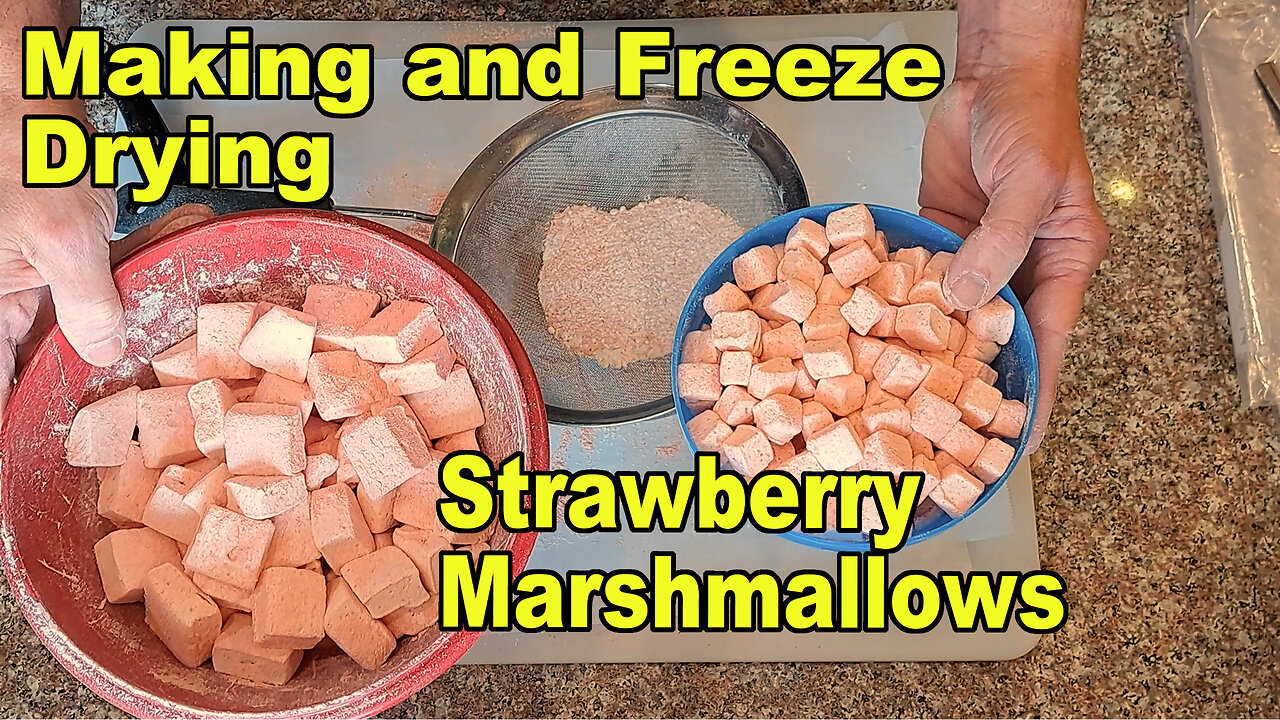 Making and Freeze Drying Strawberry Marshmallows