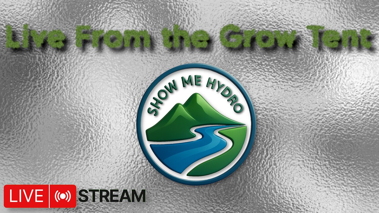 Growing Donutz Triploid & Lilac Diesel in RDWC