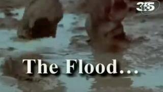 Forbidden Archeology - Flood Myth (1985)