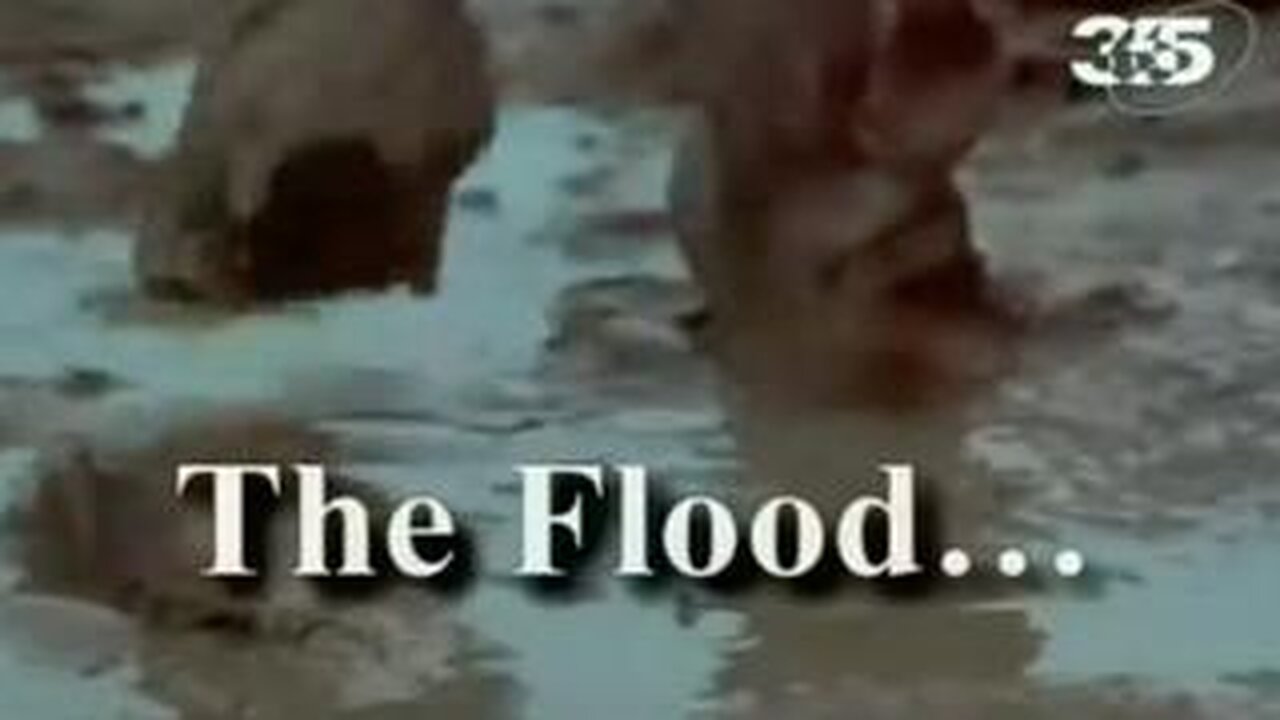 Forbidden Archeology - Flood Myth (1985)