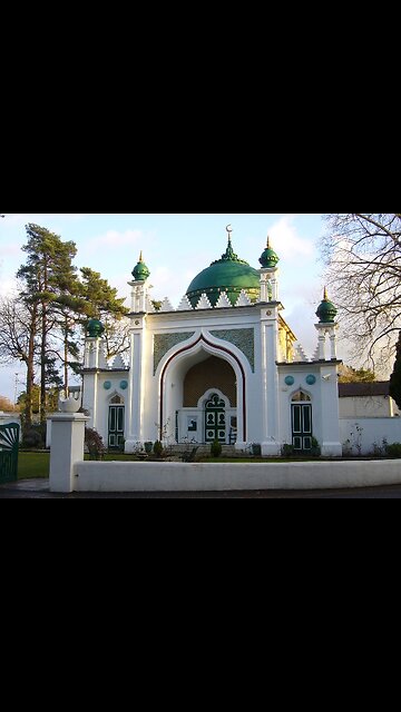 NWO: Europeans only have one more election to change things!