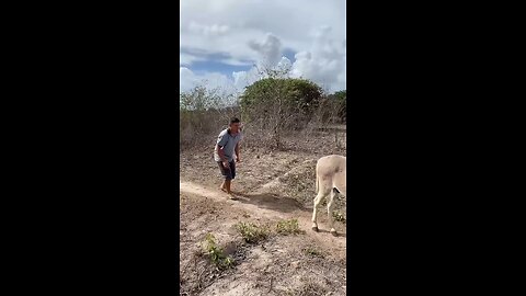 funny video
