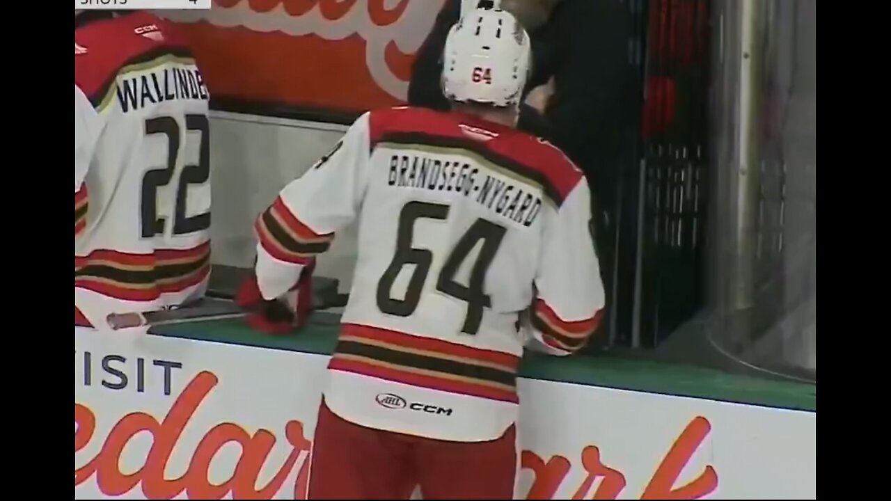 Detroit Red Wings report - goal compilation for Michael Brandsegg Nygard