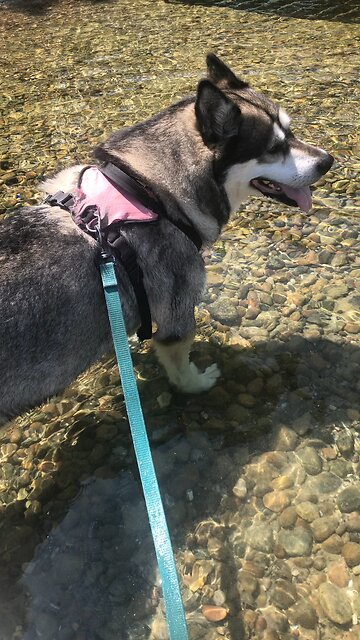 Tuesday July 16, Their trust should be in the living God