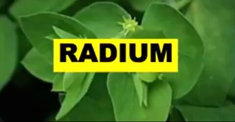 BARBARA O'NEIL - RADIUM PLANT FOR SKIN CANCER, WARTS AND MOLES. 💣