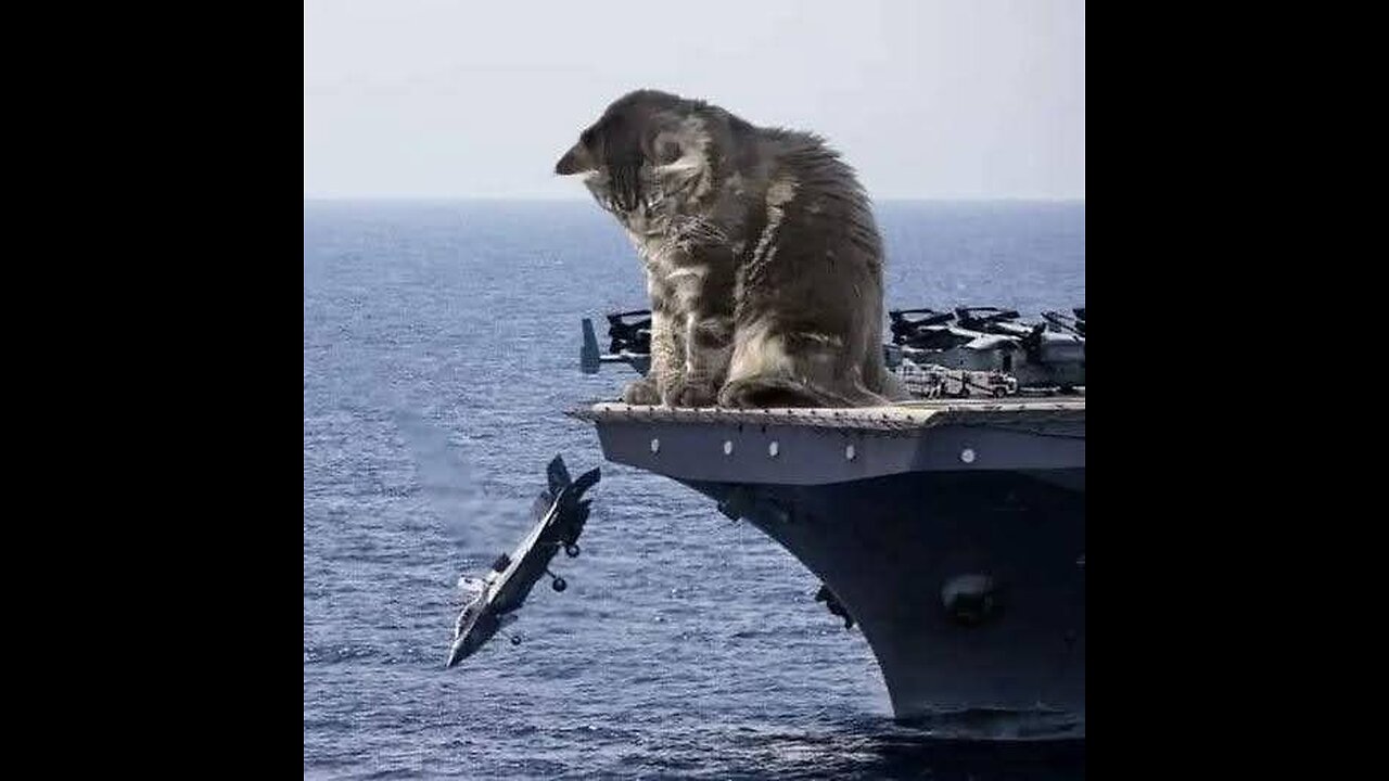 Congrats 737 Thank You Coyote for the Action