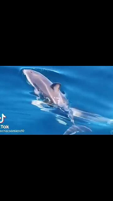 EXPERIENCING GOD'S LOVE - DAILY DEVOTIONAL ❤️