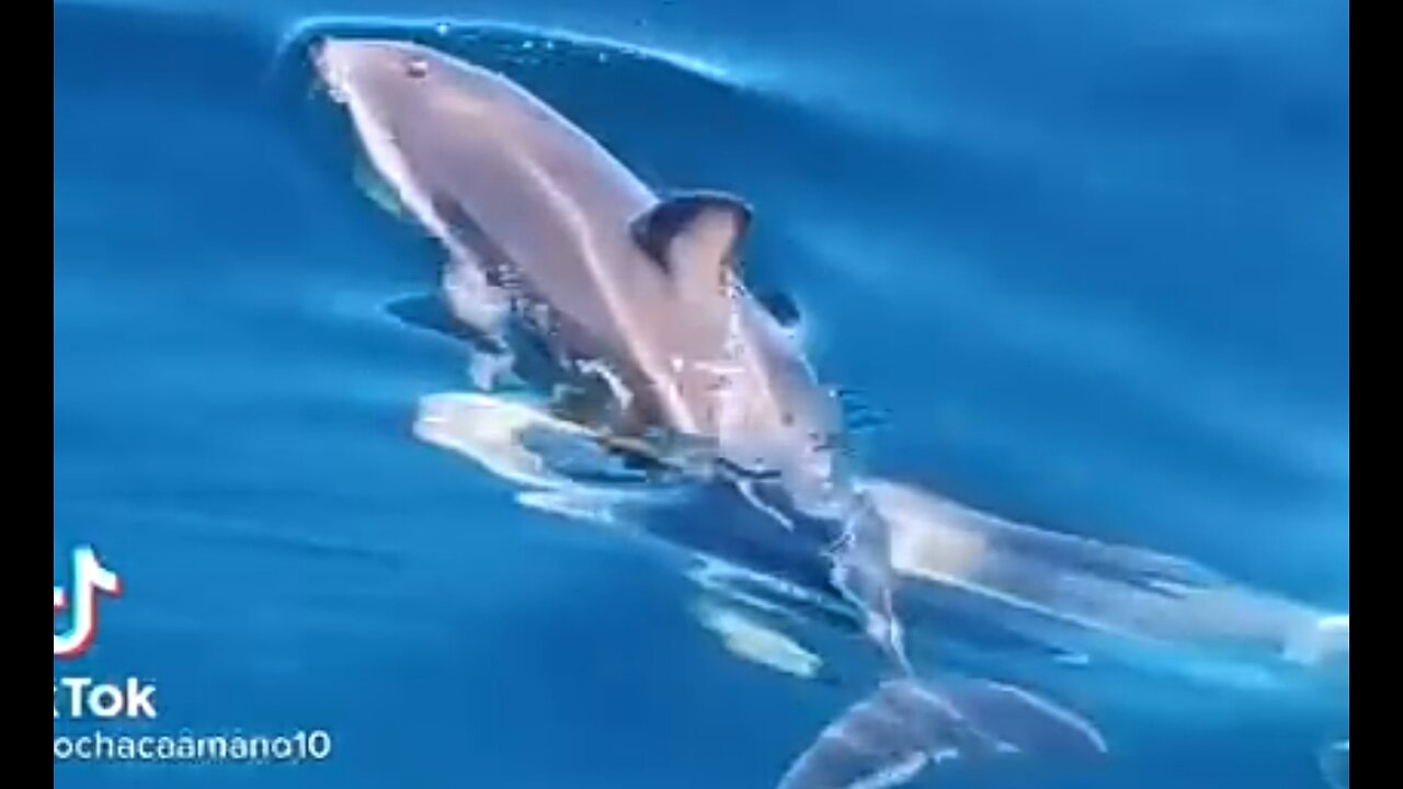 EXPERIENCING GOD'S LOVE - DAILY DEVOTIONAL ❤️