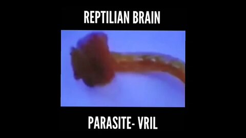 REPTILIAN VRIL PARASITE