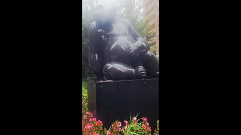 Michelle Bossampierre 'GORILLA'