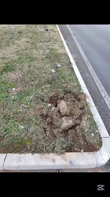 che succede a Magenta?