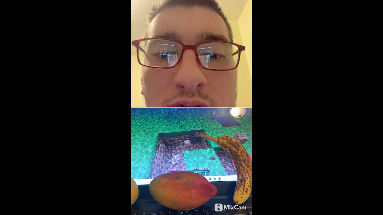 Playing Minecraft