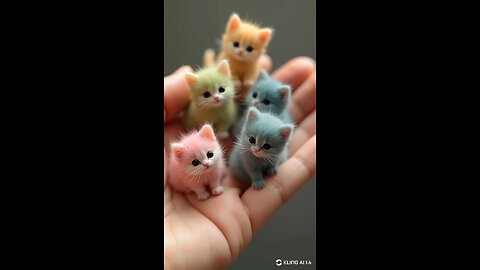 handful of kittens