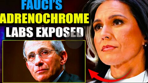 Tulsi Gabbard Exposes Fauci's Ukraine Biolabs as Adrenochrome Factories