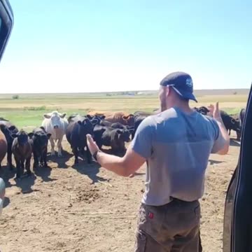 Manager Delivers Good and Bad News During Staff Meeting at the Ranch