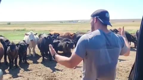 Manager Delivers Good and Bad News During Staff Meeting at the Ranch