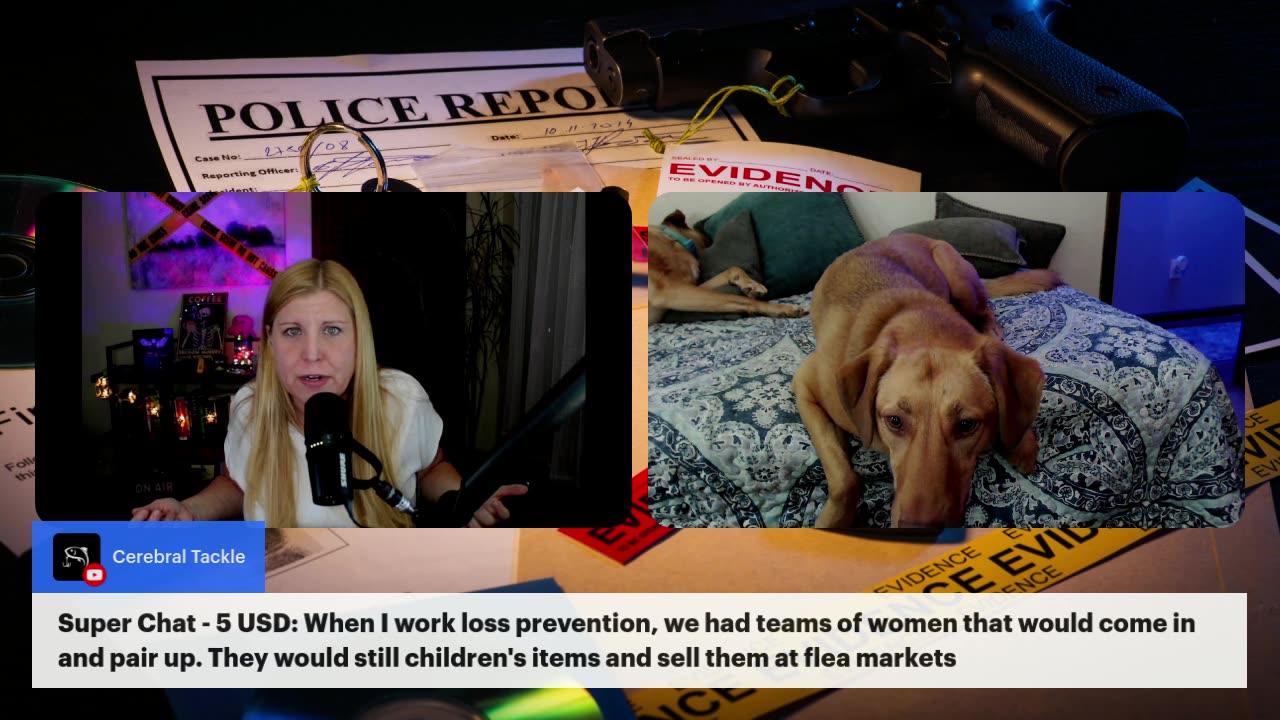 Crimeland - The Unfixable Sarah Grace Patrick