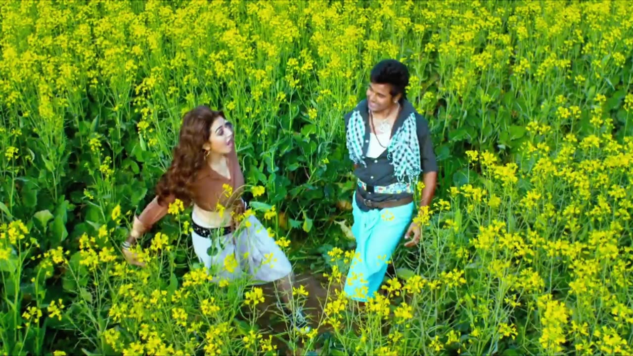 Darling dambakku | Maan karate | 4K UltraHD 60fps