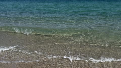 Alarma de Mosquitos Aedes: Dengue, Zika y Chikungunya, el Riesgo Real y la Amenaza de Transmisión