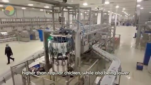 How Farmers Raise Hundreds of Guinea Fowl for Meat & Eggs | Farming Documentary