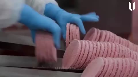 How Toilet Paper Rolls Are Made in Factory | Step by Step Process