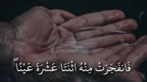 تلاوت القاری اسلام صبحی