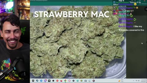 Smoke Sesh🔥World Wide !WEED Review !giveaway💨420🍃