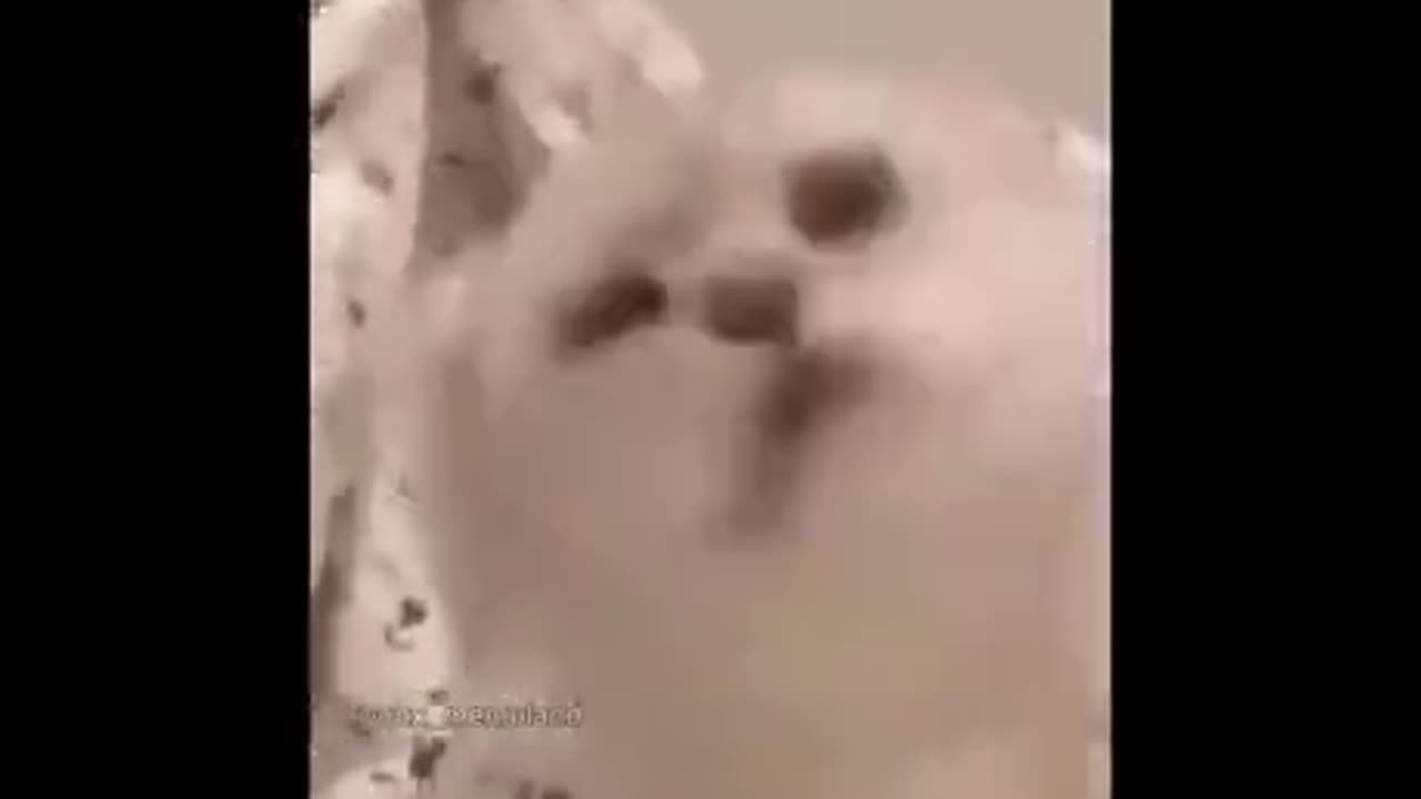 #TFW #That Feel When... You can't get a sneeze to come out!!!!