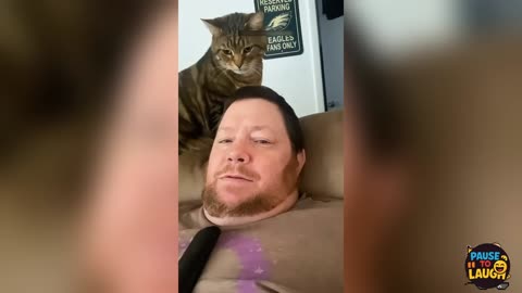 Cats Being Hilarious! 😹 The Ultimate Funny Cat Compilation 2025