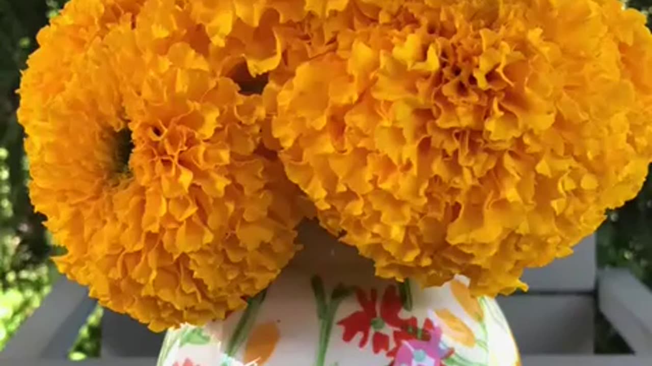 Marigold Flower Care