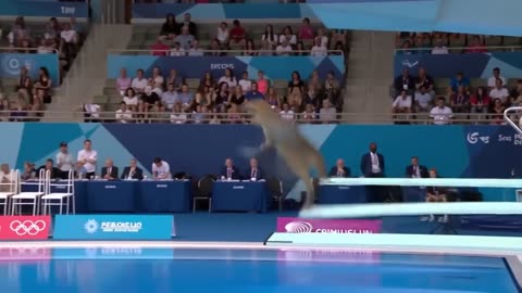 Which Dinosaur Wins the Gold Medal?