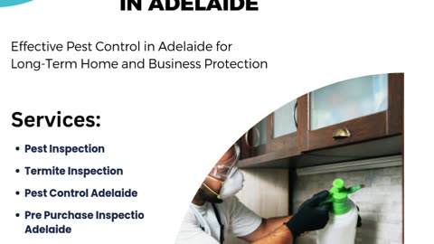 Effective Pest Control in Adelaide for Long-Term Home and Business Protection