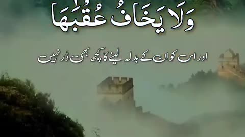 Islami video