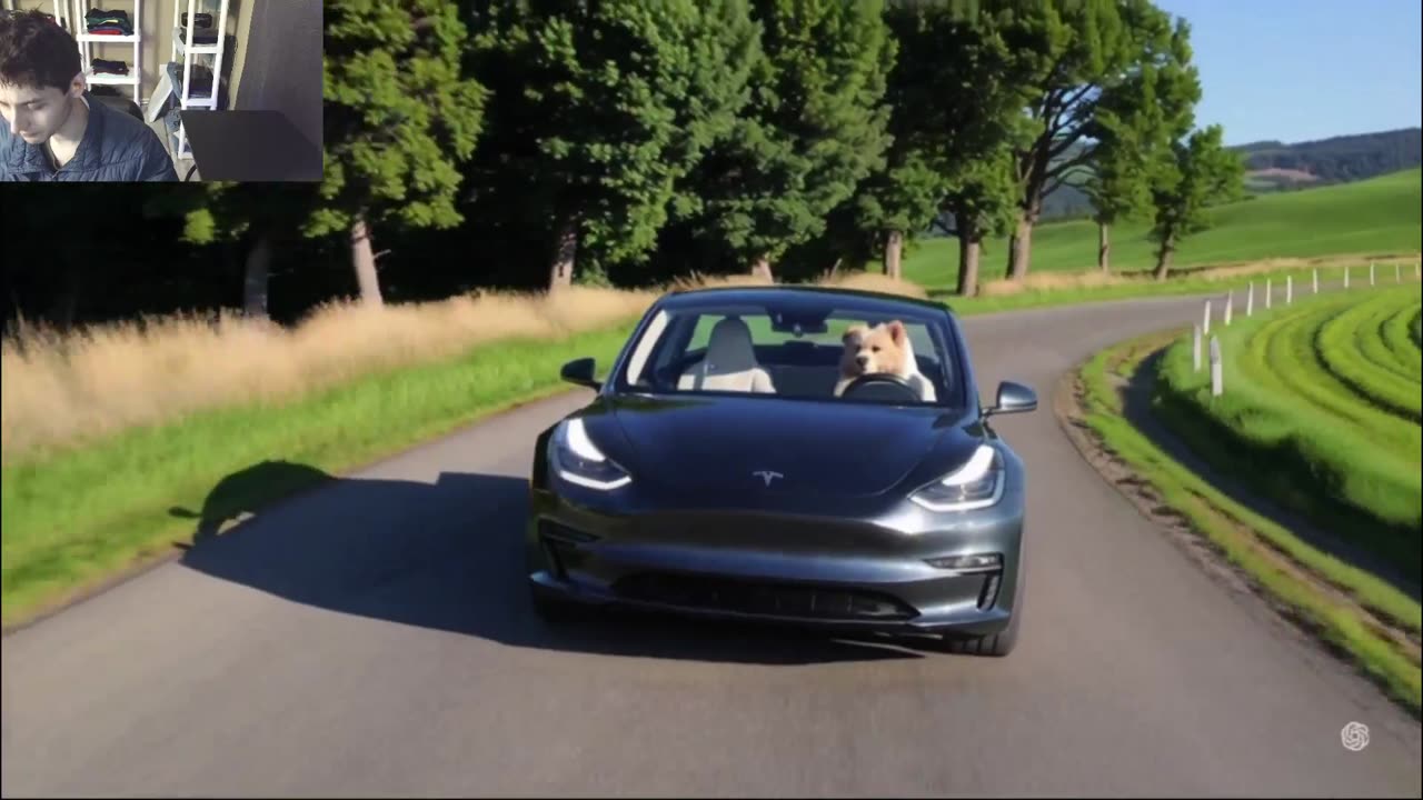 Outtake #1,198 Of The Dog Drives A Tesla Model 3 Car On The Roadway Fake Funny Parody Video