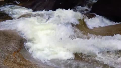 Cascades