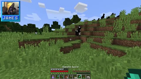 WITCH HUNT - Minecraft: CreatureTopia Ep.19