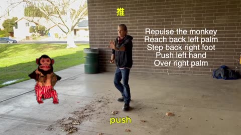 6 Form Tai Chi Northridge Park Entire Sequence