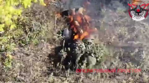 Warning! Bad Way To Go