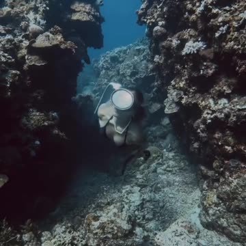 Freediving Siquijor: Unlocking Hidden Reefs and Mystic Blue Channels Beneath the Surface