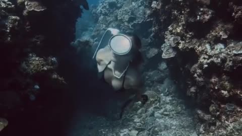 Freediving Siquijor: Unlocking Hidden Reefs and Mystic Blue Channels Beneath the Surface