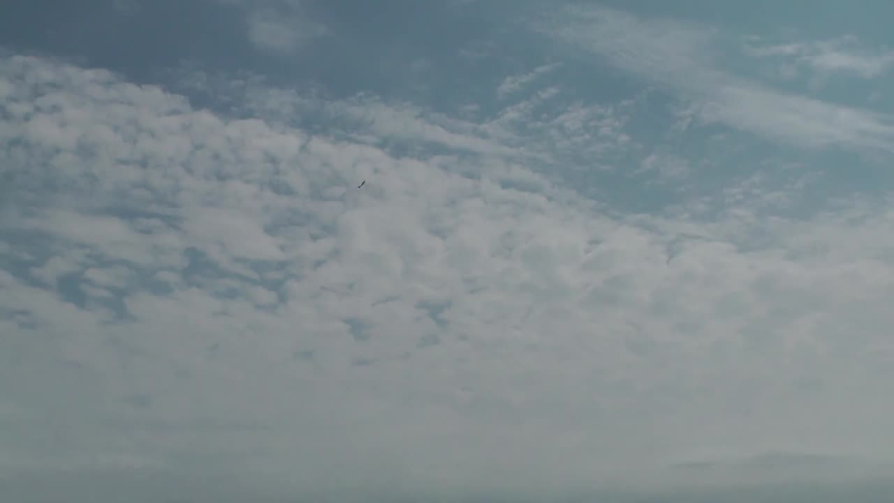 00082 At Clacton On Sea Essex Air Show Event Display Unedited video