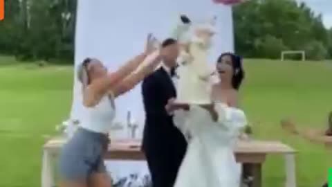Wedding Goals: Ceremony Chaos Incoming | Funny Wedding Fails Compilation